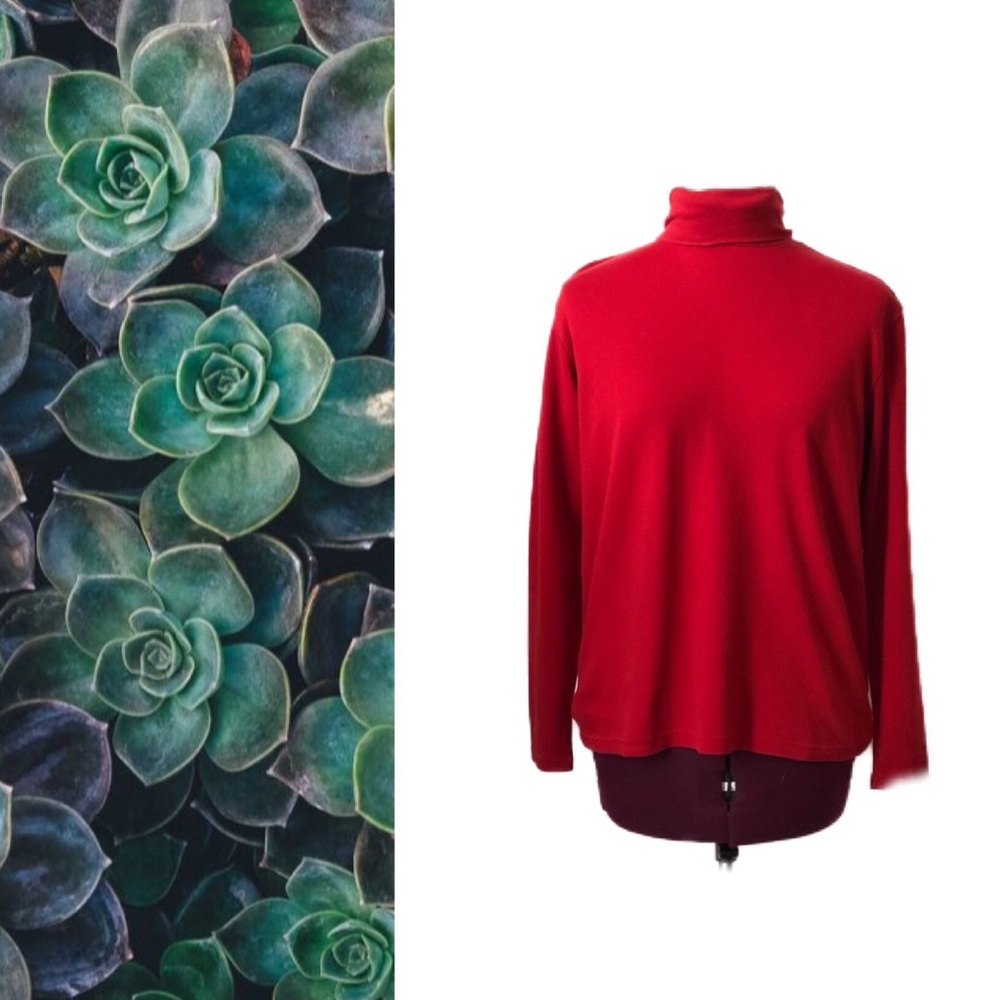 3️⃣ for $10🎉St John’s Bay Red Turtleneck